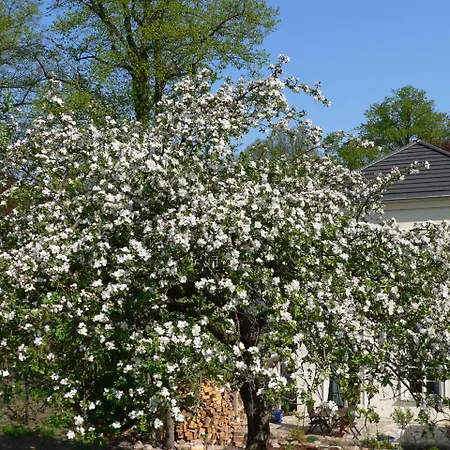 Sonntag Сasa de vacaciones Plau am See
