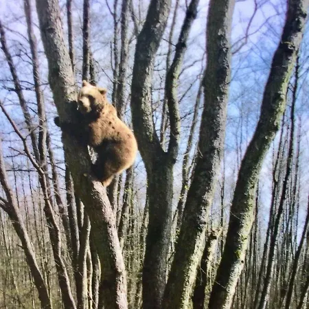 Сasa de vacaciones Sonntag Plau am See